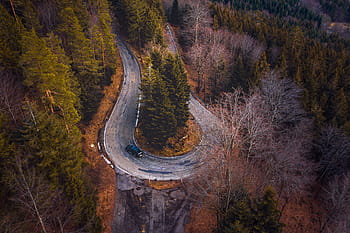 black forest, fir tree, road, drone, tower, nature, snow, landscape, forest, snowy, trees