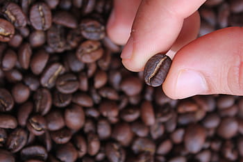 Kawa, drink, kofeina, kawiarnia, świeży, napoje, cappuccino, aromat, prażona kawa, ziarno kawy, prażone ziarno