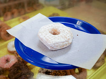 powdered, donut, sitting, blue, plate, shop., bakery, breakfast, calories, chocolate, colorful