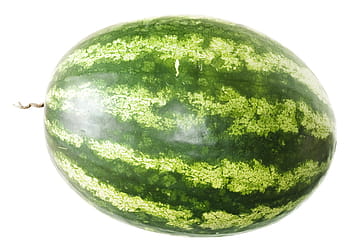 watermelon, close-up, closeup, diet, dieting, eating, food, fresh, freshness, fruit, healthy