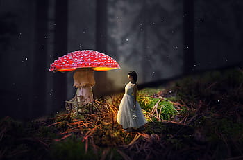 gadis, jamur, hutan, dongeng, wanita, alam, sihir, surealis