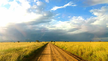 Afrika, serengeti, africká rovina, otevřená cesta, afrika krajina, národní park serengeti, savany, africké dobrodružství, turné po africe, cestovní afrika