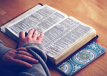 本、 聖書、 聖書研究、 聖書を開く、 読む、 手、 詩篇、 キリスト教、 キリスト教の、 宗教的な、 宗教