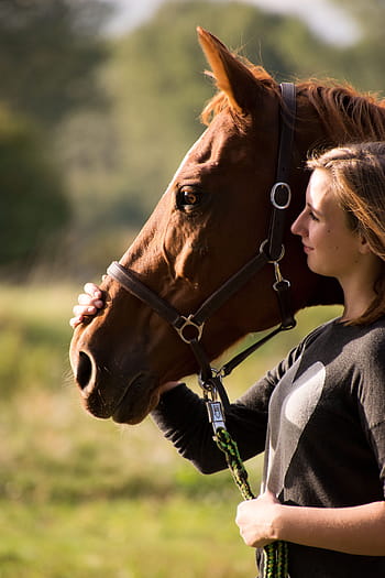 cavalleria, donna, umano, mammifero, nel, ritratto, natura, cavallo, giro, Reiter, connectedness