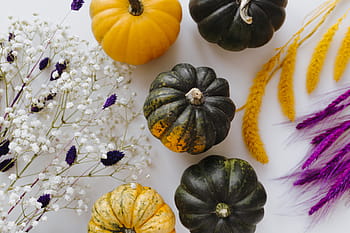 kecil, kuning, gelap, hijau, labu, putih, latar belakang, labu kuning, halloween, musim gugur, Oktober