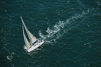 plavba lodí, oceán, San Francisco Bay, záliv., záliv, Kalifornie, plachetnice, plachtění, San Francisco, loď, shora