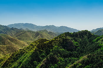 landscape, tree, nature, forest, wilderness, mountain, hill, valley, mountain range, jungle, ridge