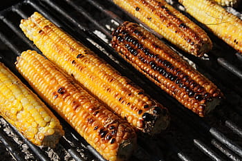bbq corn, food and Drink, barbecue, barbeque, bBQ, cooking, grill, grilling