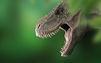 δεινόσαυρος, τυραννόσαυρος, dino, t rex, βασιλιάς, προϊστορικός, θηρευτής, jura, Τέρας, έρπων, σαρκοφάγα