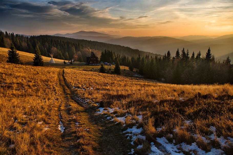 vysočina, tráva, stromy, rostlin, les, krajina, Příroda, venkovní, hora, mrak, nebe