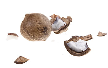 coconut, coconuts, coco, cocos, cocoz, white, fruit, background, wood, closeup, isolated