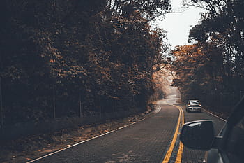 las, samochód, ulica, Droga, Autostrada, jesień, drzewo