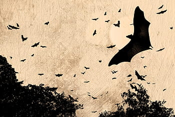 horror, halloween concept, -, bats, flying, spooky, woods, full, moon, autumn, background