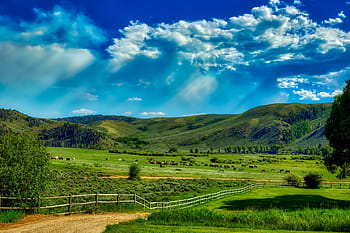 wyoming, ranch, farm, america, landscape, scenic, horses, sky, clouds, nature, outdoors
