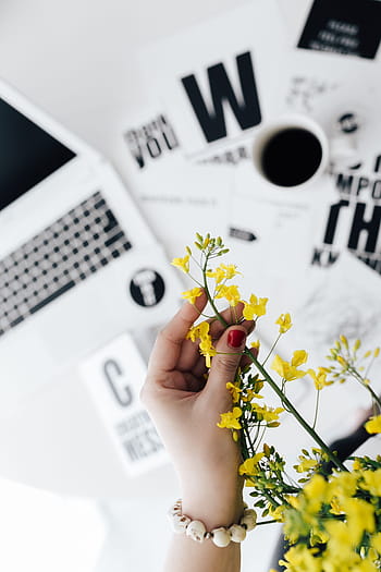 área de trabalho, amarelo, flores, fêmea, mínimo, branco, local de trabalho, mesa, feminino, escritório em casa