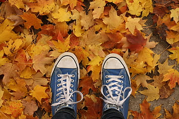 fall, autumn, shoes, leaves, nature, background, orange, tree, explore, adventure, fall leaves