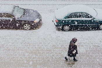 nevado, calle, coches, blanco, pueblo, ciudad, invierno, nieve
