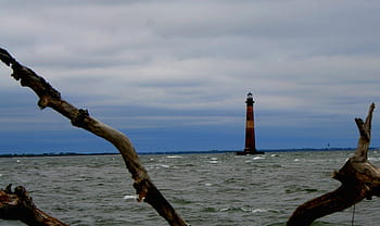 maják ostrov morris, pobřeží, jižní, carolina., maják, morris island, Jižní Karolína, moře, oceán, lodí. voda, nebe