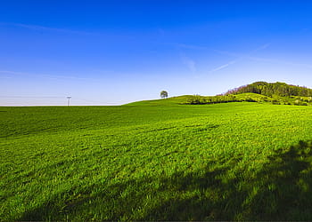 krajina, kopec, louka, tráva, Příroda, zelená, nebe, strom, nálada, scénický, modrý