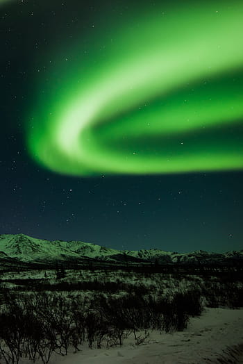 aurora borealis, northern lights, sky, night, landscape, nature, dark, colorful, bright, trees, silhouettes