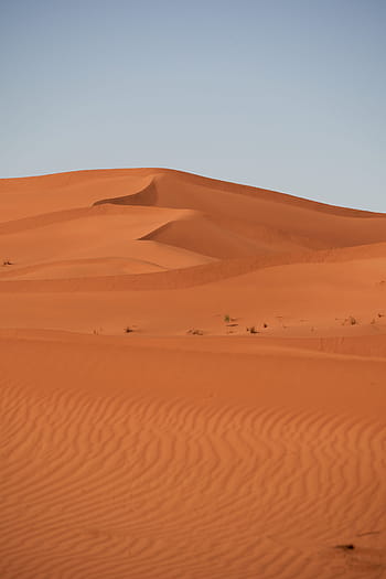 poušť, sahara, písek, krajina, suchý, horký, Příroda, duna, marocký, Afrika, velbloud