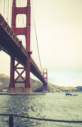 low, angle view, golden, gate bridge, san francisco, california, usa, america, architecture, bay, blue