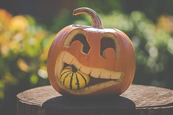 předvečer Všech svatých, dýně, podzim, dekorace, jídlo, oranžový, jedlý, říjen, ovoce, díkůvzdání, sezóna