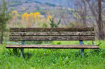 lavice, dřevo, Příroda, sedadlo, odpočinek, ven, tichý, sedět, lavičky, park, tráva