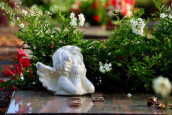 angel, grave, cemetery, sculpture, mourning, statue, figure, tombstone, rest, commemorate, angel figure