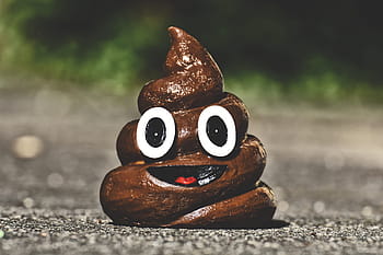 poop, shit, funny, figure, fun, laugh, pile