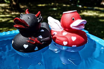 quietscheenten, devil, angel, opposites, ducks, rubber, cute