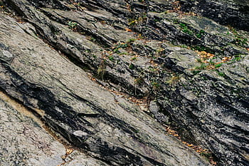 texturu, abstraktní, Pozadí, Černá, detail, živel, Německo, grunge, harz, materiál, přírodní