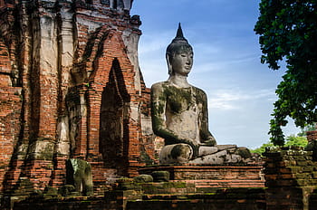 พระพุทธรูป, ประเทศไทย, พุทธศาสนา, พระพุทธเจ้า, รูปปั้น, ศาสนา, เอเชีย, ชาวพุทธ, วัฒนธรรม, การท่องเที่ยว, เคร่งศาสนา