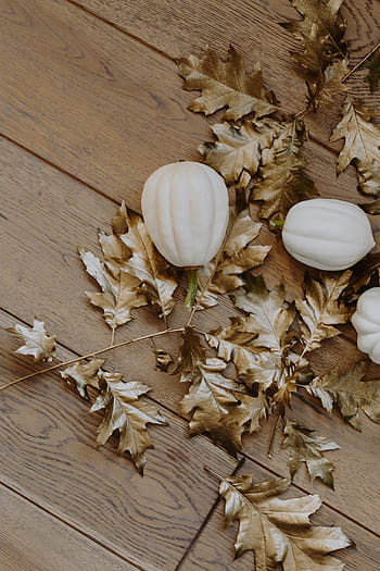 putih, labu, emas, ek, daun, kulit pumkin putih, daun ek, daun dicat, musim gugur, dekorasi, halloween